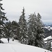 Herrliche verschneite Landschaft, einfachTraumhaft