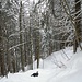 Im Pulverschnee gehts steil nach Bruederschwendi runter