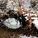 Durchblick durch die Krete - mit Buchenlaub, Schnee und Eiszapfen