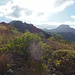 Blick vom Anstiegsweg oberhalb von Adeje zum Roque de los Brezos und Roque del Conde