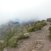Am Cumbre de Masca verließen wir die Wolkenschicht wieder und die Blicke wurden langsam etwas umfangreicher