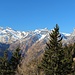 Stubaier Alpen mit dem Pflerscher Tribulaun