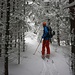 Auch im dichten Wald liegt Schnee