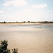 Der Río Apure bei San Fernando.<br />An der Uferböschung gegenüber kann man sehen, dass die Wasserlinie in der Regenzeit mehrere Meter ansteigt
