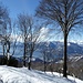 Vista dall'Alpe Fontana
