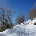 La strada che porta al rifugio