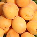 Aprikosen - Die Früchte werden aktuell überall im Land angeboten. Die "armenische Pflaume", Prunus armeniaca, gilt zudem als ein Symbol Armeniens und soll auch die Farbe des untersten Streifens der Nationalflagge bergründen.