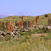 Im Park des Alphabets - Der ca. 20 km südlich von Aparan gelegene Park ist den  Buchstaben des armenischen Alphabets gewidmet. Im Hintergrund erhebt sich der Aragats.