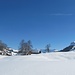 ... der Anhöhe, mit den Häusern auf Vorderzugschwand - mit Hohgant ...