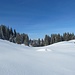 ... in unberührten, stillen Gefilden