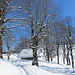 ... und an der malerischen Gruppe von Bäumen und Hütte vorbei