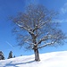 Winteridylle ...