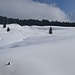 schöne Schneelandschaft