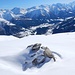 "Kuh"ler Blick ins obere Wallis - bis zum Matterhorn