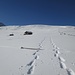Solo le nostre tracce...