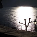 come sempre il lago luccicante mi affascina.....