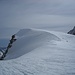 cima brioschi
