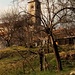 Il campanile della parrocchiale dagli orti intorno al paese.