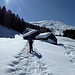 Arrivo all'Alpe Selvaccia