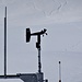 das Schneemessfeld wird auch vom Hasen besucht