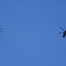 auf Patrouille