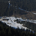 Beachtlicher Kahlschlag für den Alpine Coaster / area disboscata per il circo dell`Alpine Coaster