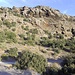 Typische Landschaft der Sierra Nevada. Oben auf den Felsen waren einige Steinböcke.