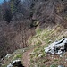 Il piacevole sentiero che scende a mezzacosta fino ad intercettare la stradina che sale da Gajum a Terz'Alpe