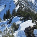 Abstieg am Gipfelgrat bzw. durch die Flanke