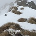 In cima alla Piota