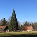 Die versteckte Kapelle St. Brice gilt als die älteste im Sundgau