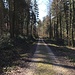 Lange Wege durch viel Wald