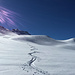 Sonne pur