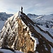 Auf der Spitze (Foto: K.)
