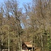 Waldhütte von Vendlincourt