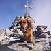 Toto posing as an alpine-star on the south-west summit of Pizzo di Claro.