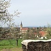 Die Apfelblüte in Réchésy