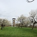 Der Turm durch die Apfelblüten