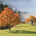 farbenprächtige Herbststimmung auf Hinderberge