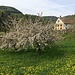 Frühling am Doubs