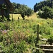 Toller Garten bei Cerneux-Godat