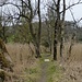 Im Naturschutzgebiet Niederried-Oltigen. 