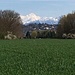 Der Mont Blanc kurz vor Puplinge