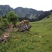 bergauf Richtung Grenze