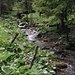 Waldbach 