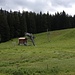 beim Col de la Folière gibt es weitere Skilifte
