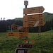 Les Ecottis