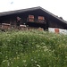 durch hohe Blumenwiesen hinab....