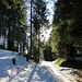 auf den letzten Metern im Schnee