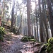 zurück auf dem Altreuteweg